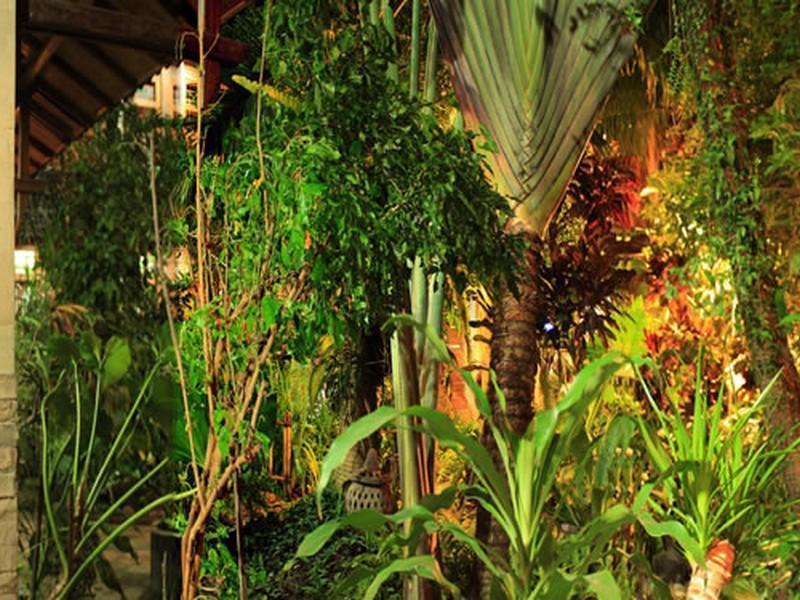 Arys Garden Hotel Yogyakarta Eksteriør bilde